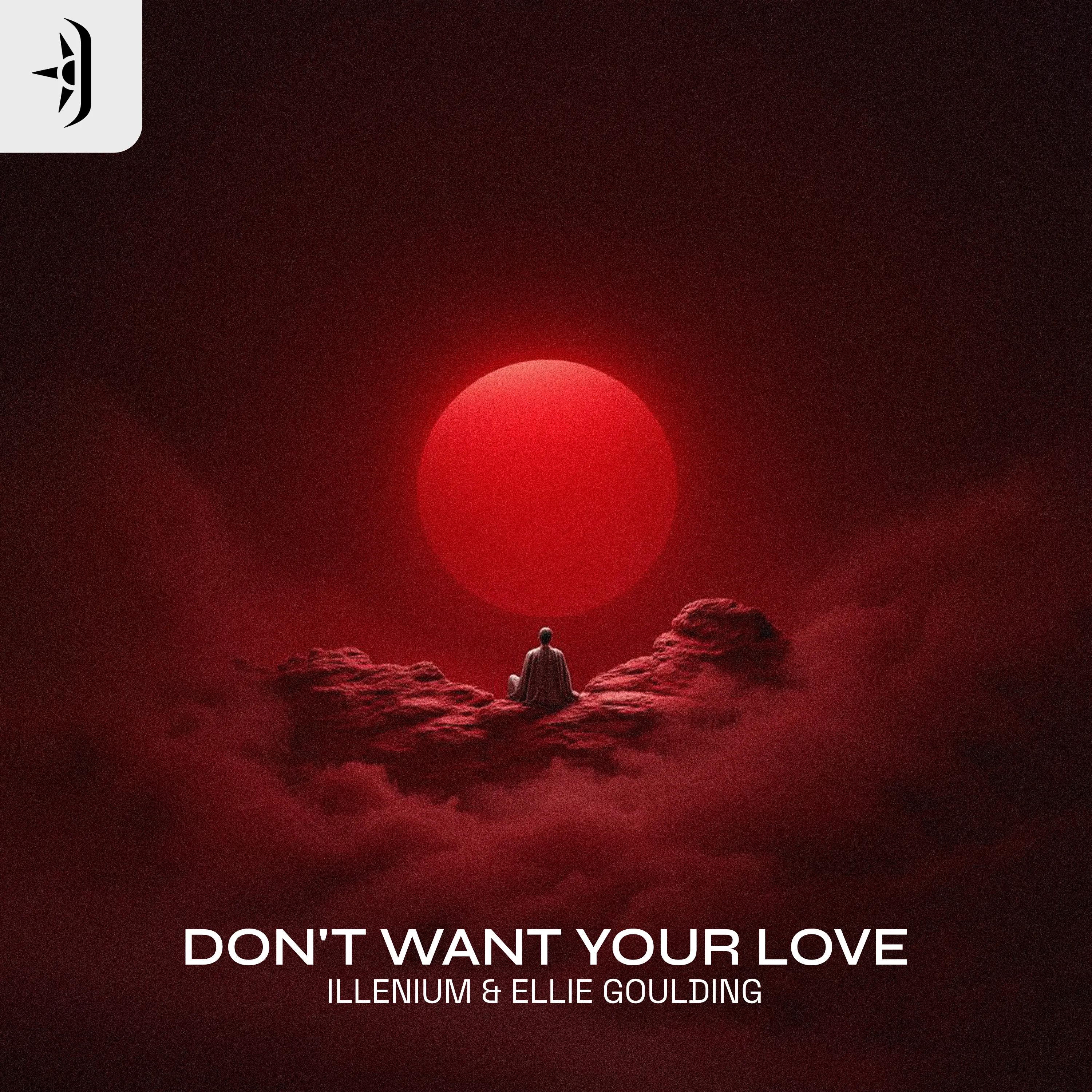 Don't Want Your Love